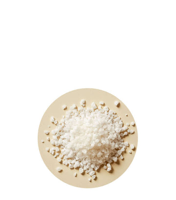 Clave para la producción de hormonas tiroideas, regula el metabolismo y mejora la función cognitiva.