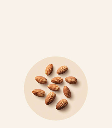 Ayuda a formar huesos, apoya el metabolismo y actúa como un poderoso antioxidante.