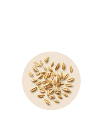 Alto en fibra, ayuda a regular la digestión y mantener la salud intestinal.