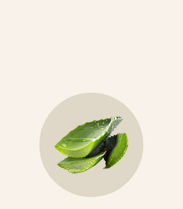 aloe vera Bouquet de Flore menopausia