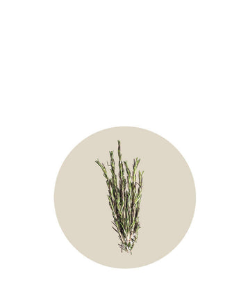 tomillo menopausia Bouquet de Flore