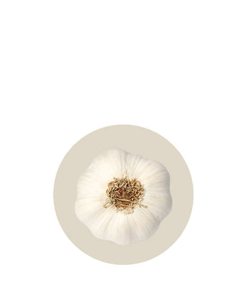 ajo menopausia Bouquet de Flore