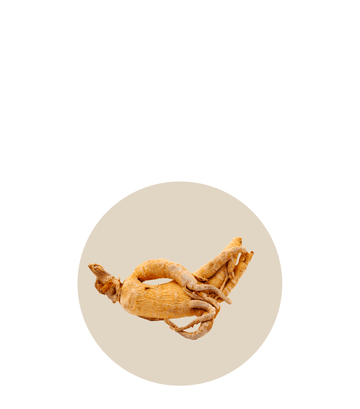 Ginseng Reneva menopausia