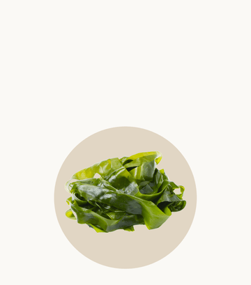 Alga kelp Reneva menopausia