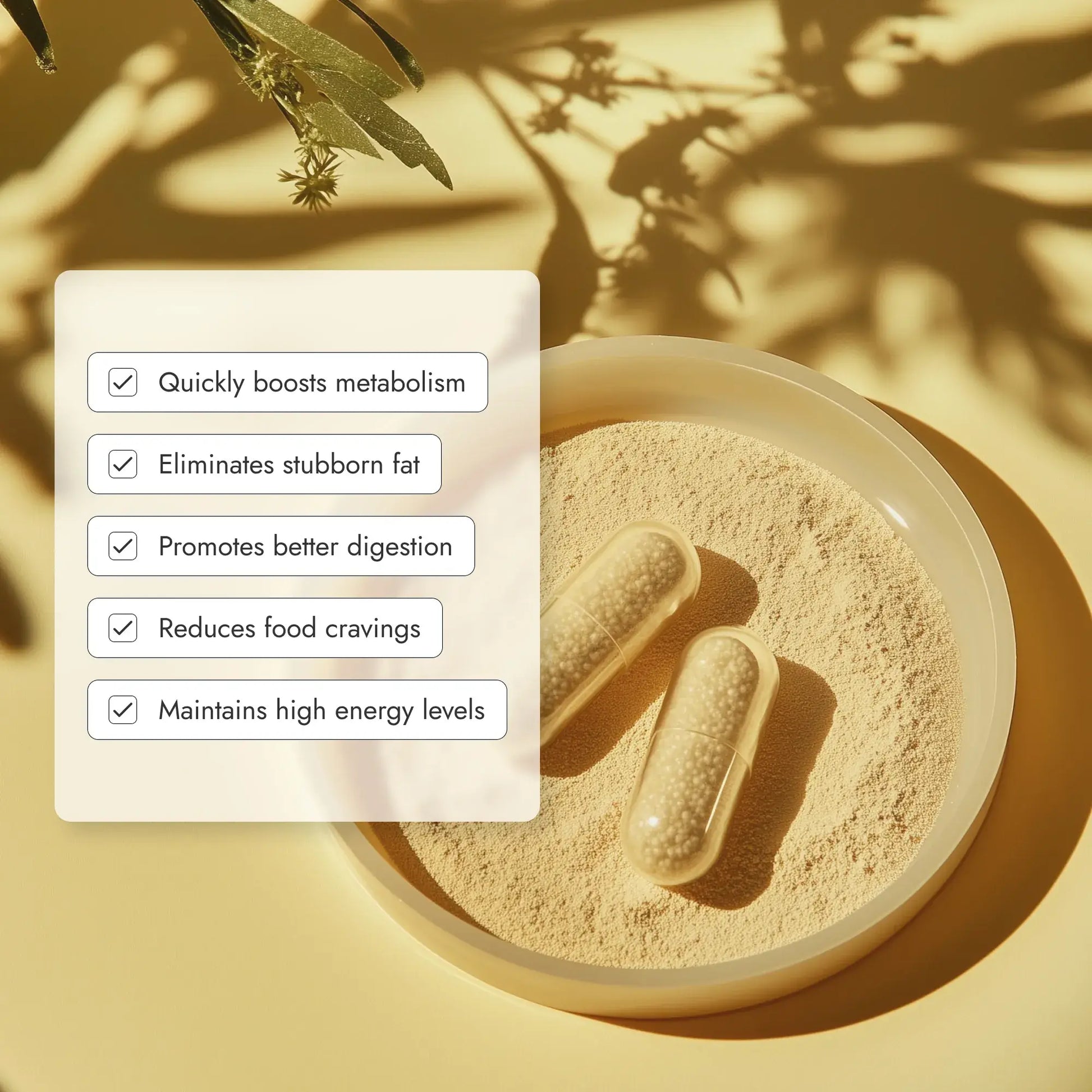 Express Weight Loss Pack - üma sas Laboratories 