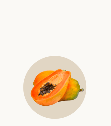 Papaina menopausia Reneva