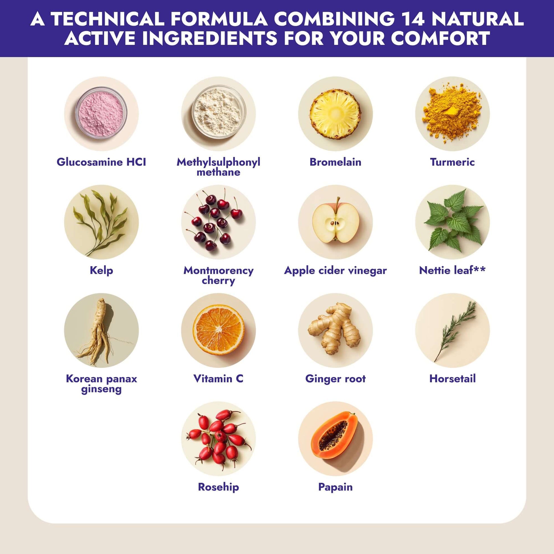 Reneva is a unique combination of 14 natural ingredients that provides a direct and innovative solution to joint and bone problems associated with menopause. Day after day, regain flexibility and mobility for an active, pain-free life.